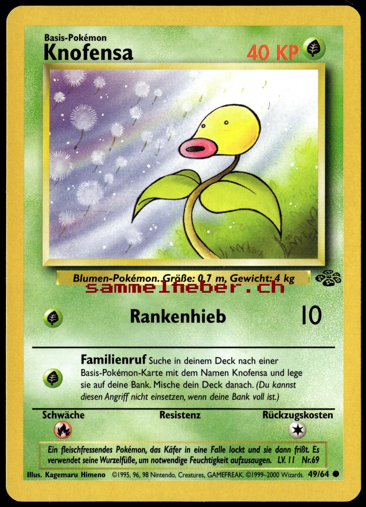 Dschungel (JU)