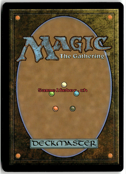 Kitesail – Rückseite