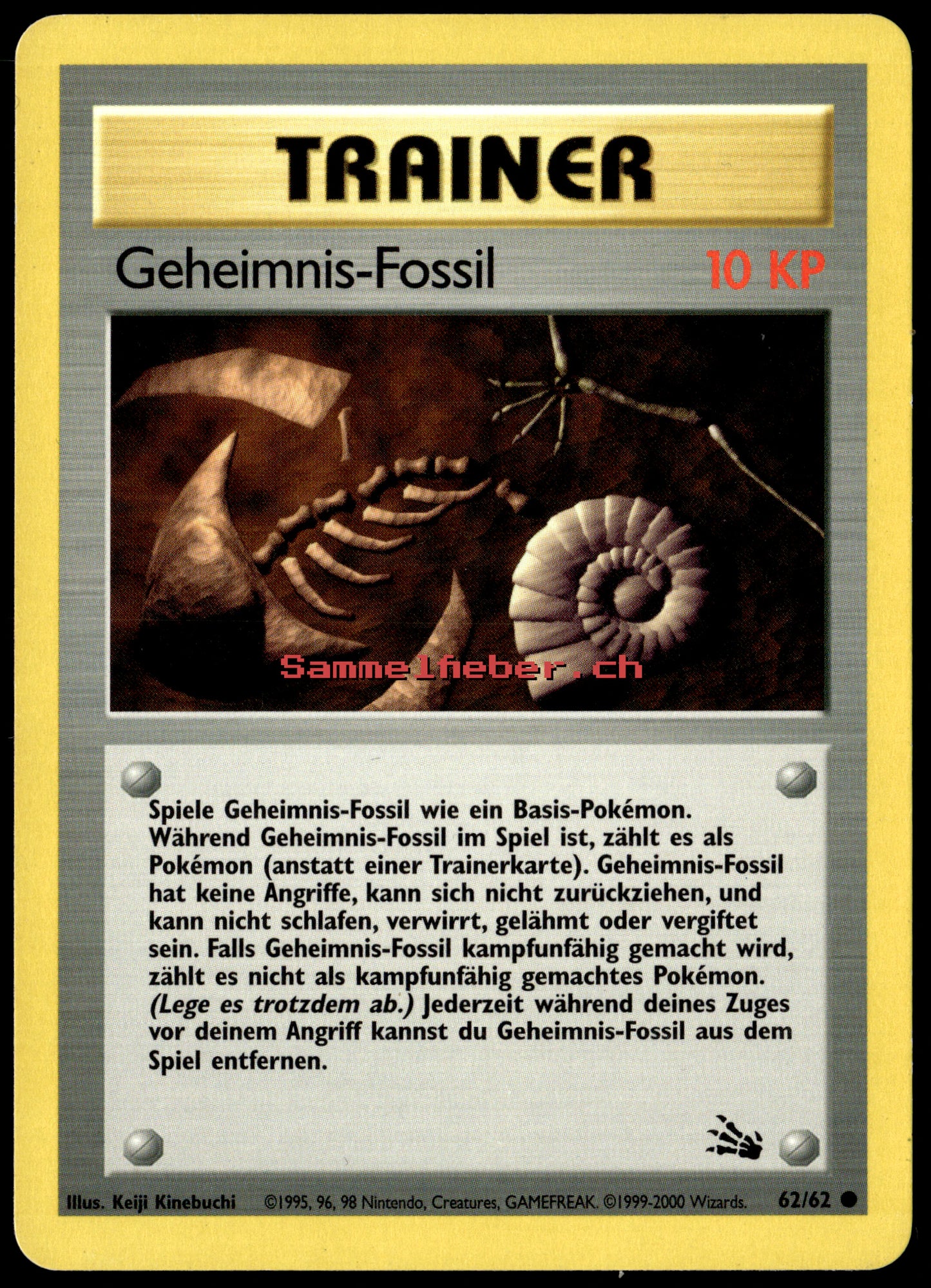 Geheimnis-Fossil – Vorderseite