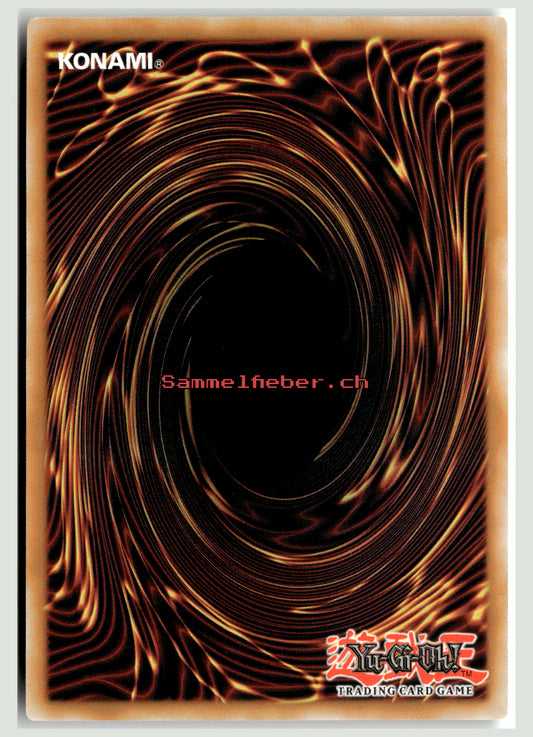 Duellantenallianz – Rückseite